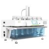 1.Dissolution System